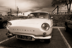 MG_4987-2