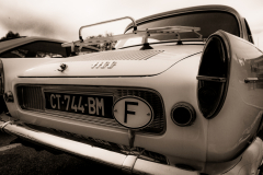 MG_4997-2