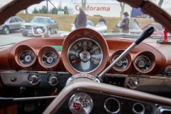 MG_5007