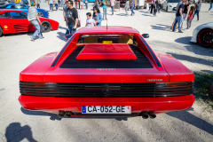 MG_5624