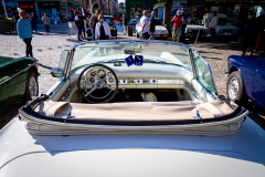 MG_6537