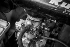 MG_6564-2