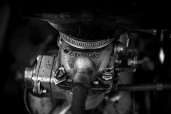 MG_6565-2