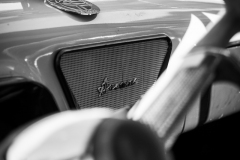 MG_6569-2